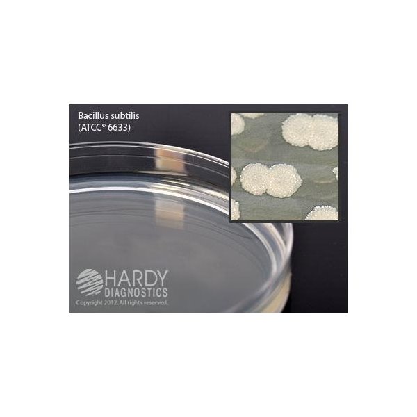 Northwest Scientific Inc. - C927B31, TMS/C927B31 - Tryptic Soy Agar ...